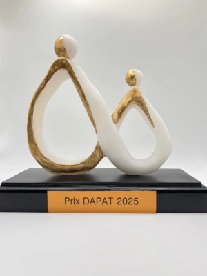 Récompense associative 3D – Logo avec socle en bois – Trophée DAPAT